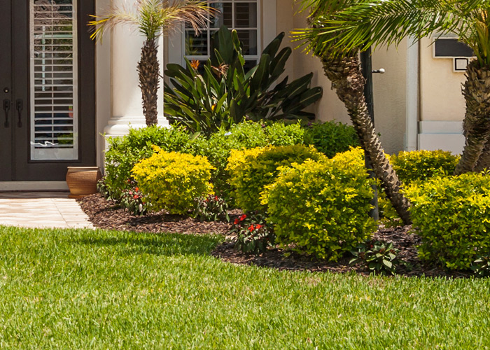 Brevard Florida Lawn Treatment