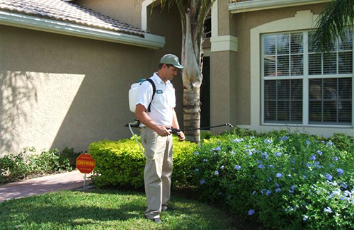 Brevard Florida Pest Control